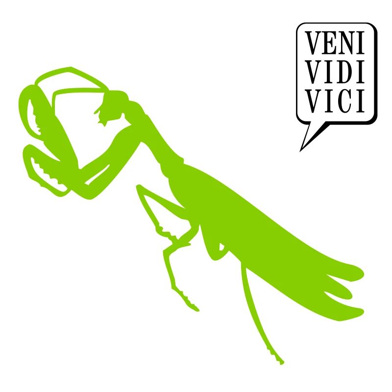 Gottesanbeterin / mantis (1c)