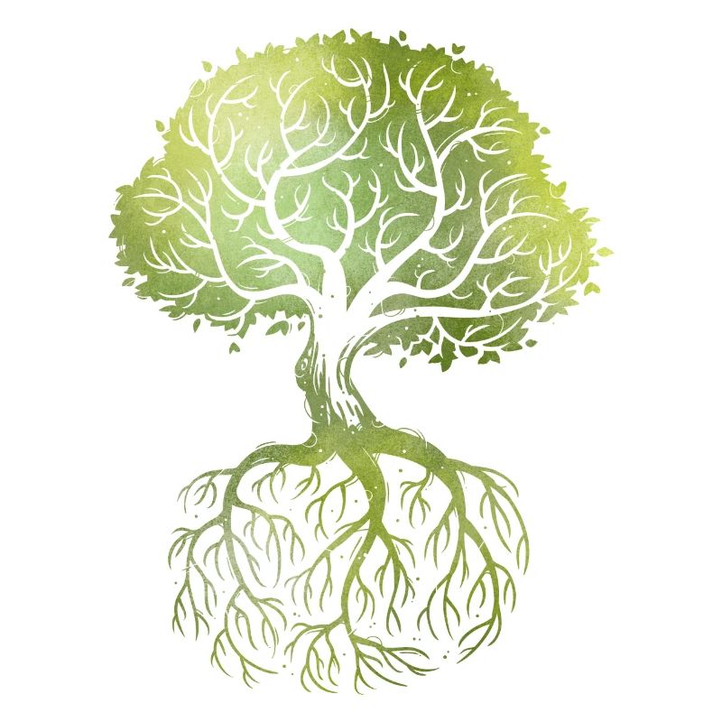 Roots