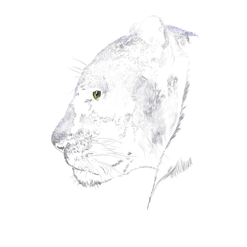 Panther