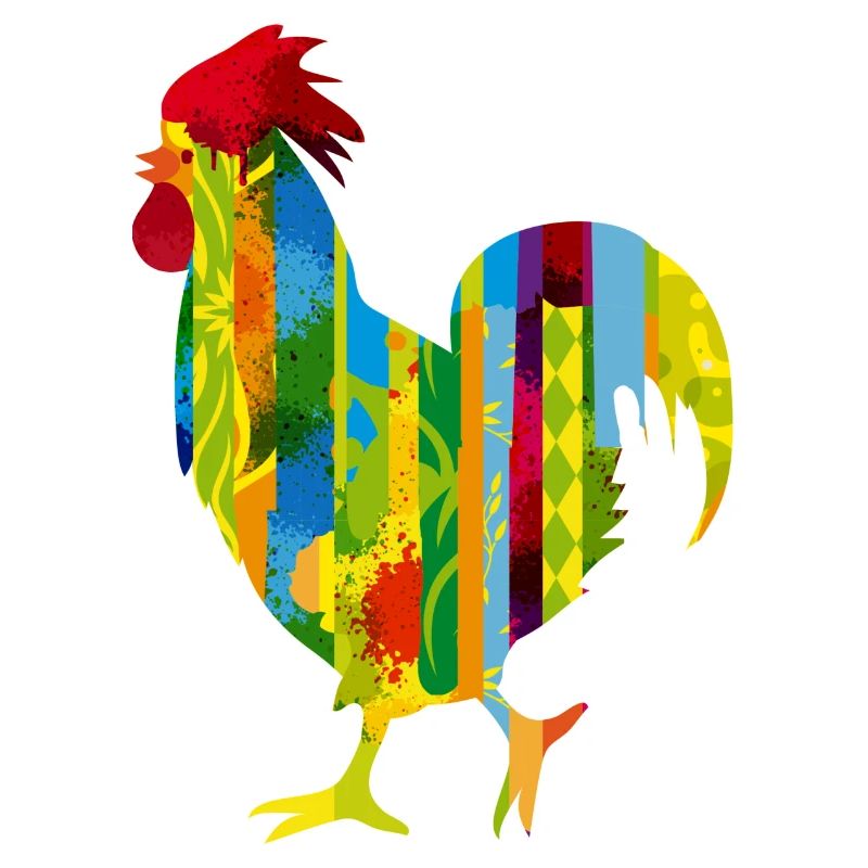Un coq coloré