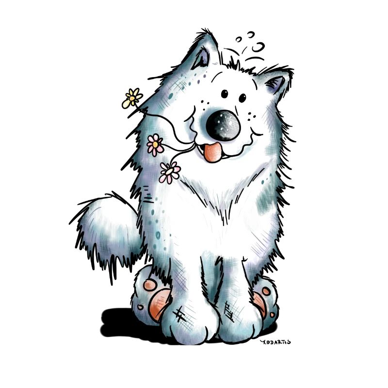 Mignon Samoyède Chien