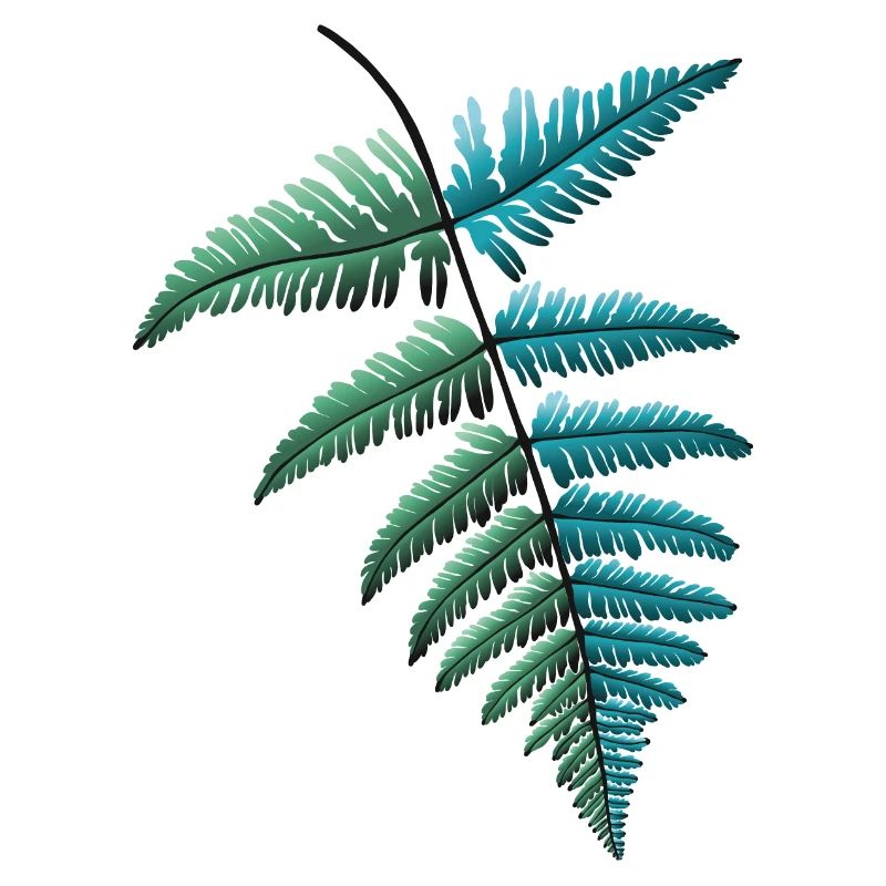 Fern Fern Leaf