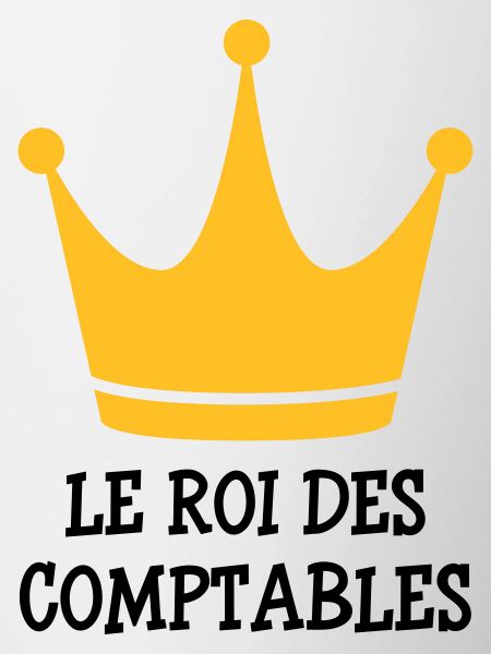 Accountant / Accounting / Comptable / Comptabilité