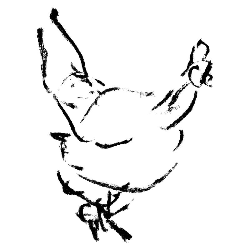 Poule - Dessin / POULET