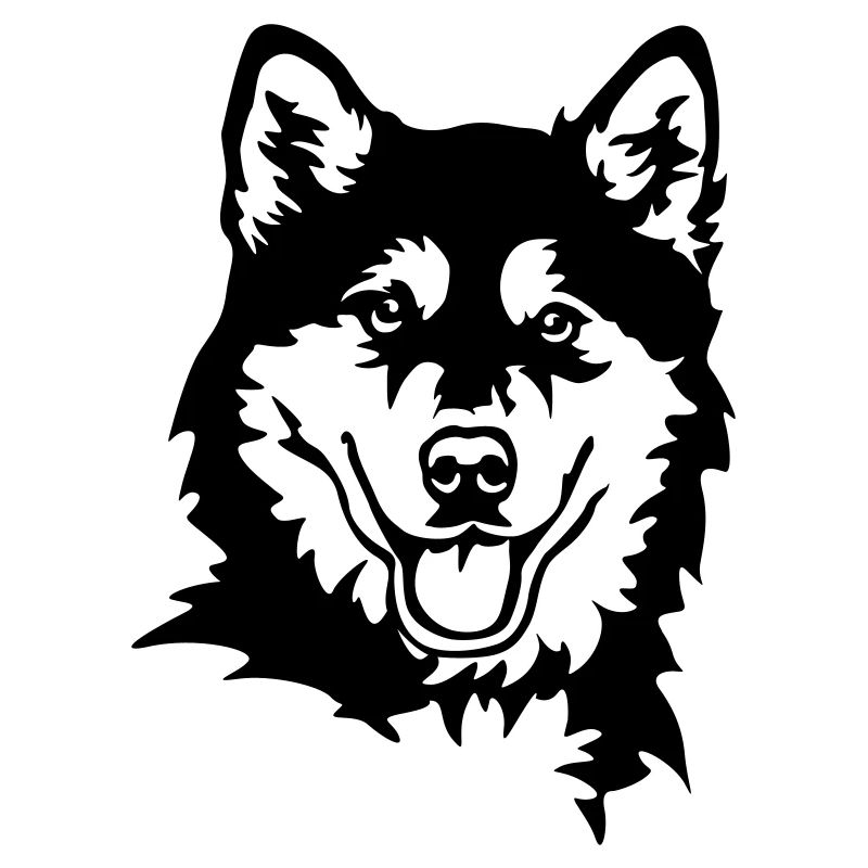 Alaskan Malamute Head