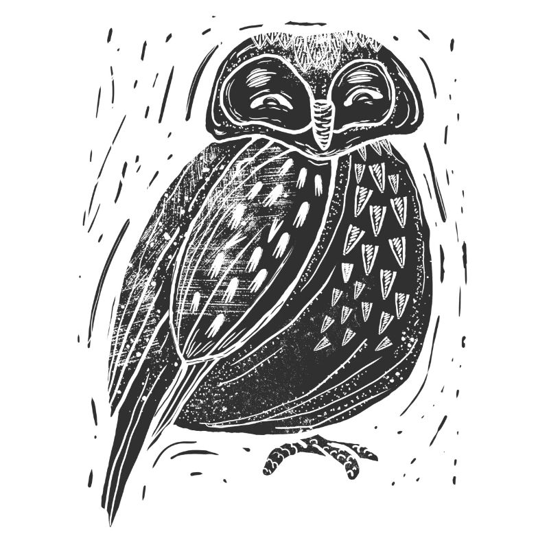 Night Owl Drawing