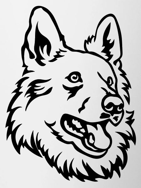 Swiss Shepherd Head