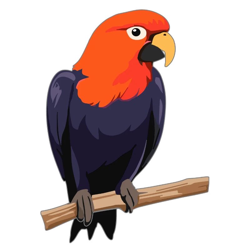 Oiseau perroquet
