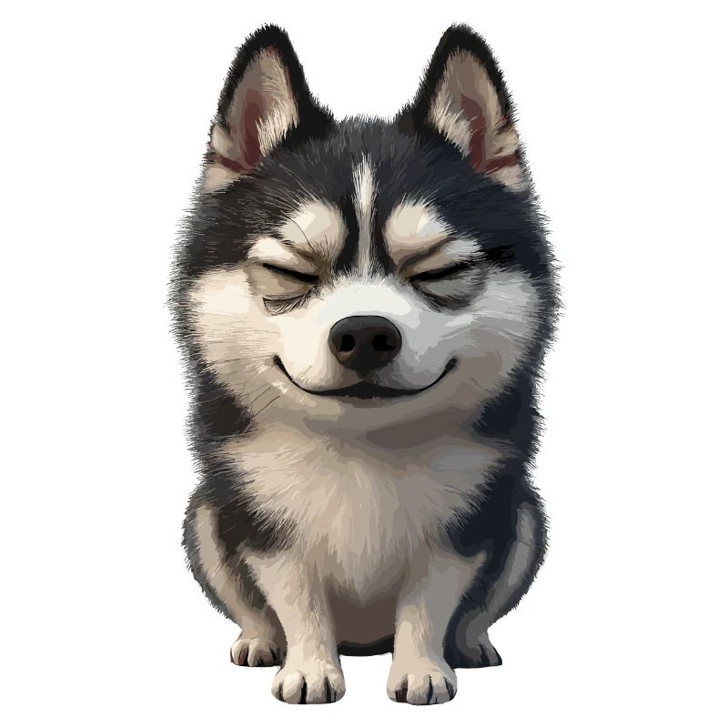 Visage rieur husky joyeux
