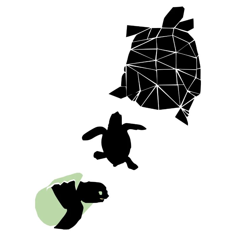 Tortue