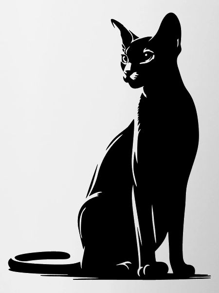 Abessiner Katze