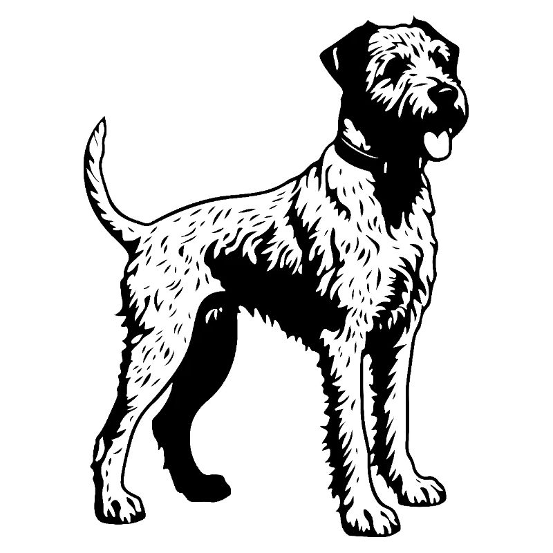 Chien Airedale Terrier