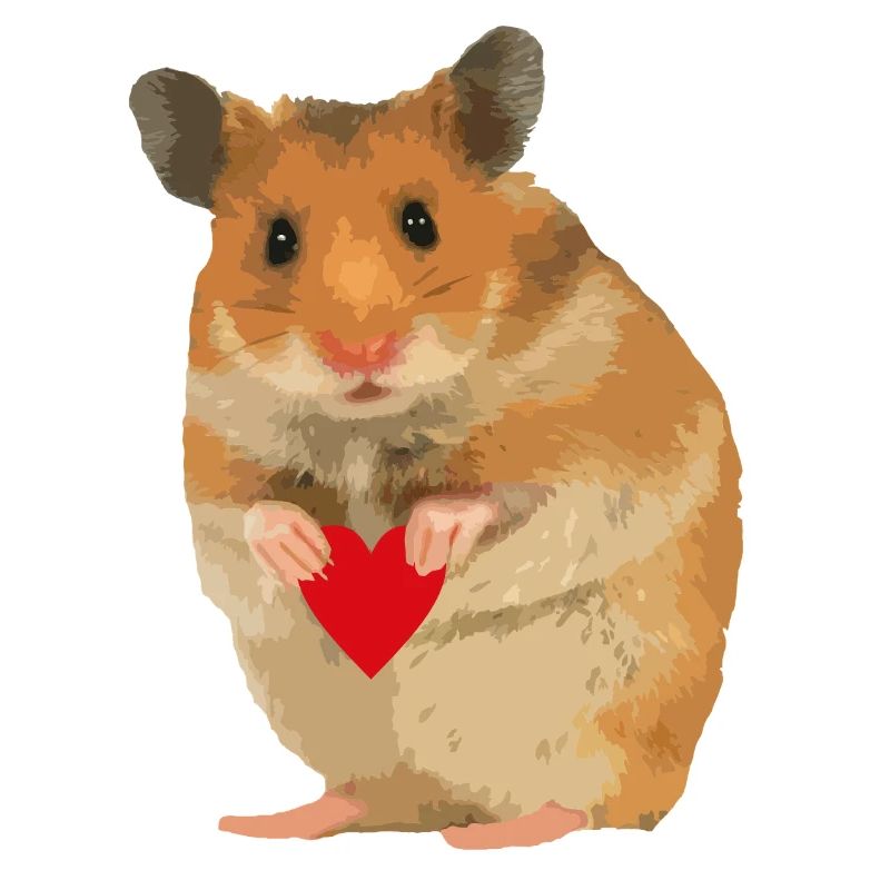 Hamster Menno mit Herz