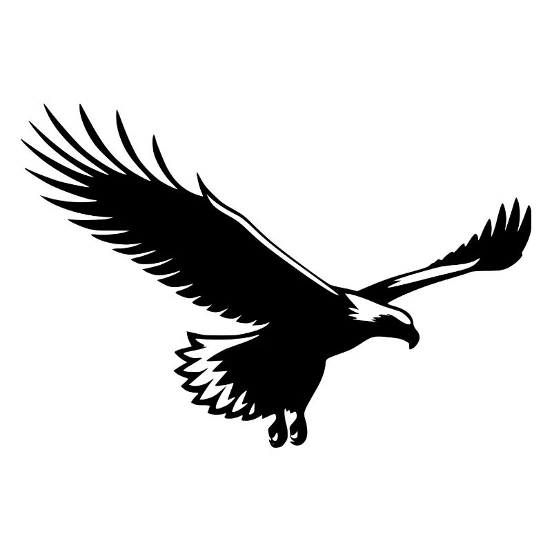 Elegant glider eagle on wide wings