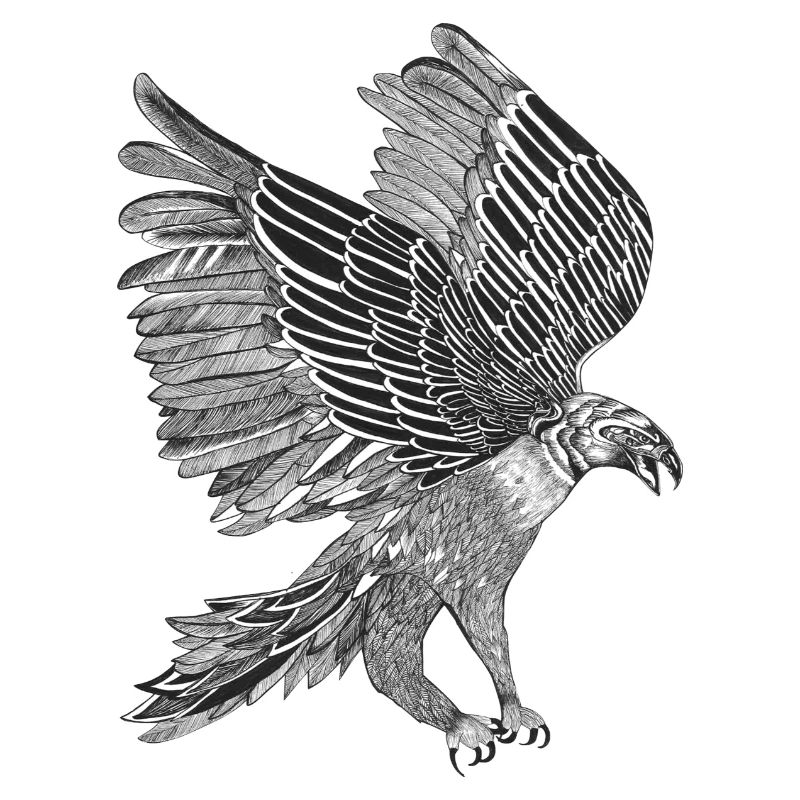 Adler