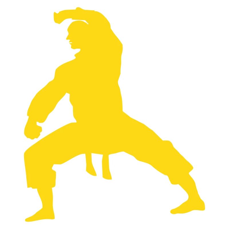 fighter