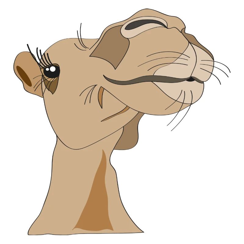 Kameldame