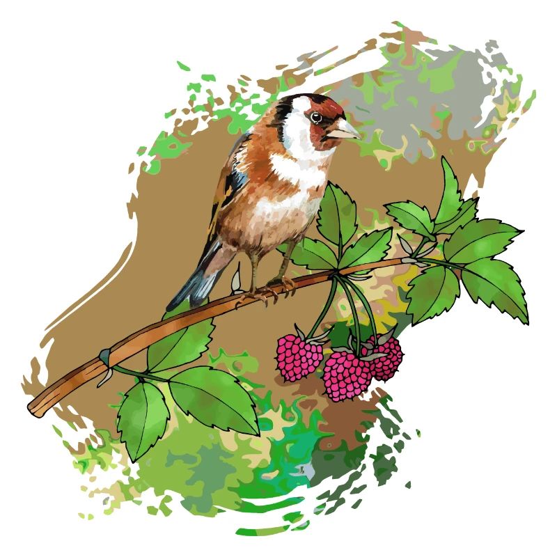 Oiseau chardonneret