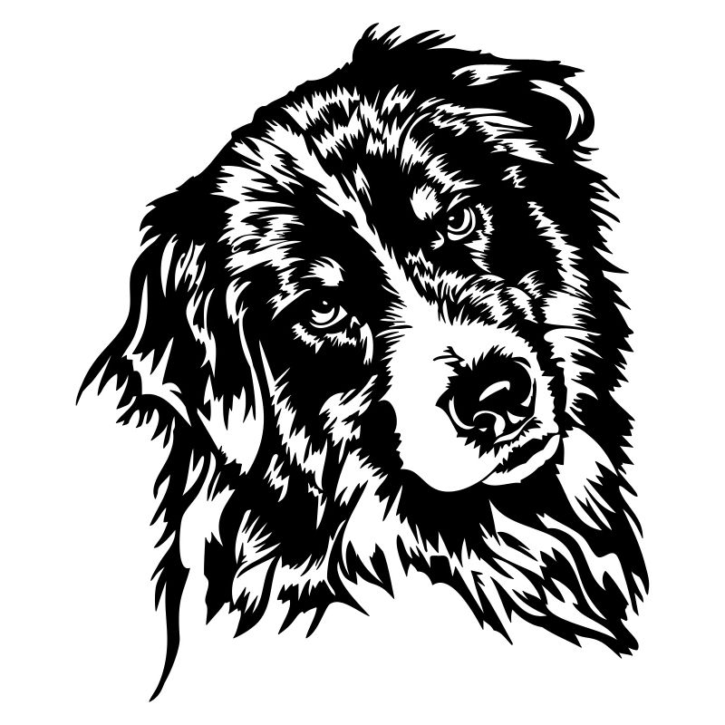 Australian Shepherd Aussie Dog Canine Wilsigns
