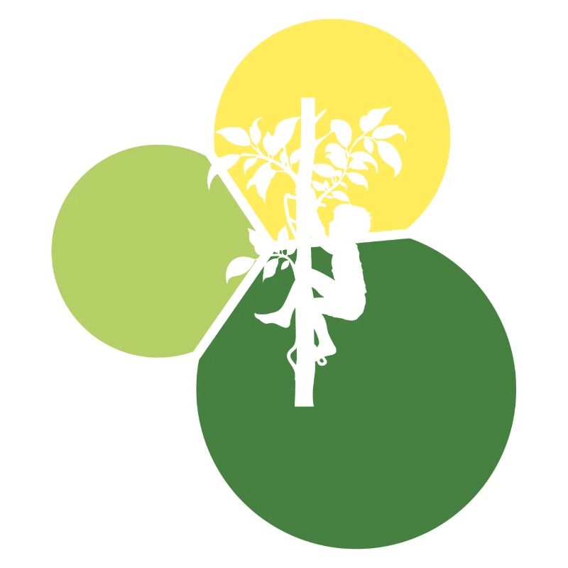 Tree Climbing Climbing Climbers