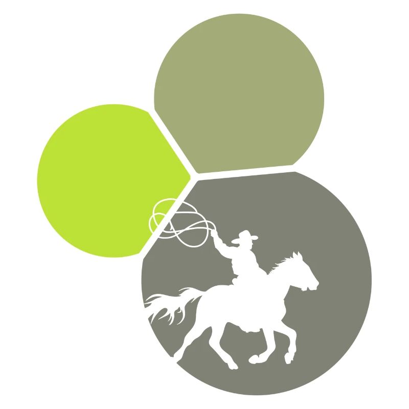 Lasso de rodéo occidental