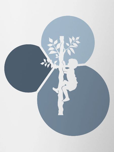 Equipment Tree climbing Crampons