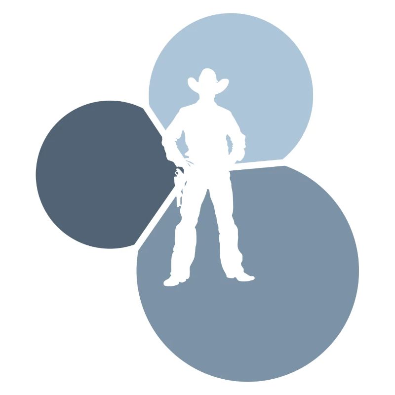 Selle Western