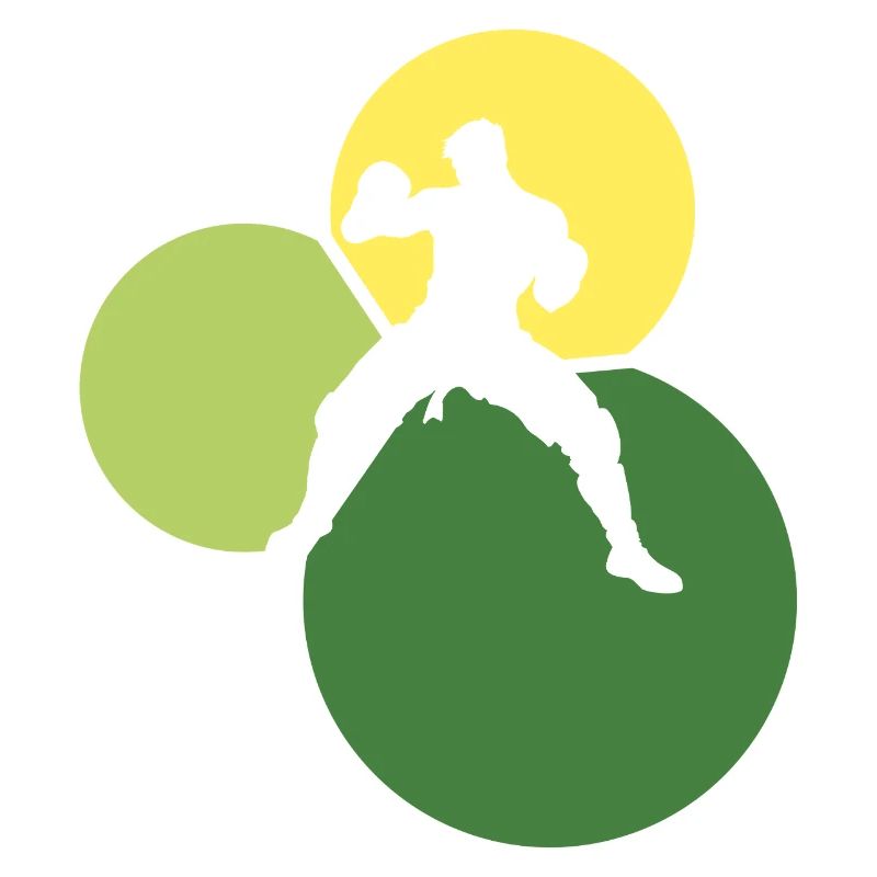 Mixed Martial Arts Judo Jiujitsu