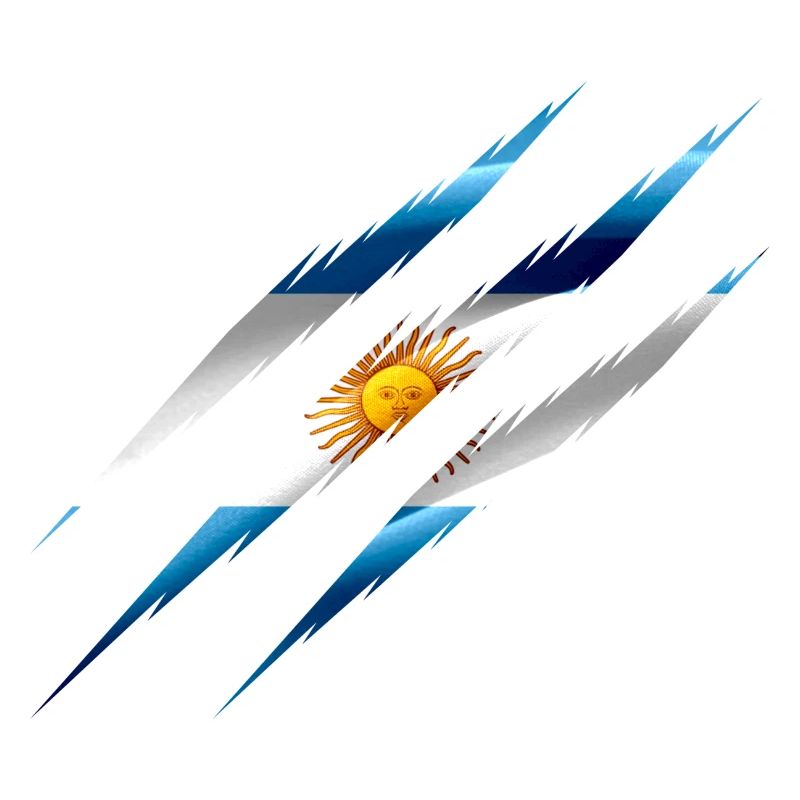 Argentina flag scratches cut claws cracks crack