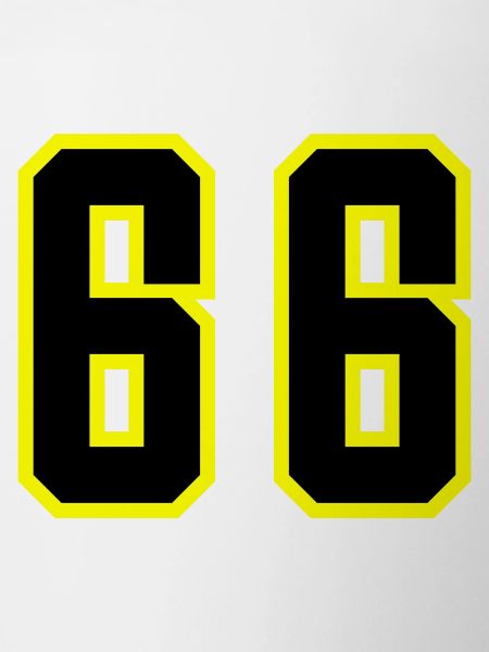 66 Number Leotard