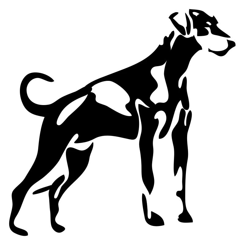 Dobermann Doberman Hunde Hund Wilsigns Hunde