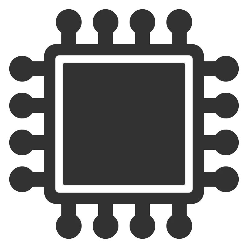 Microchip cpu