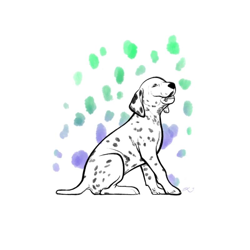 Chiot dalmatien