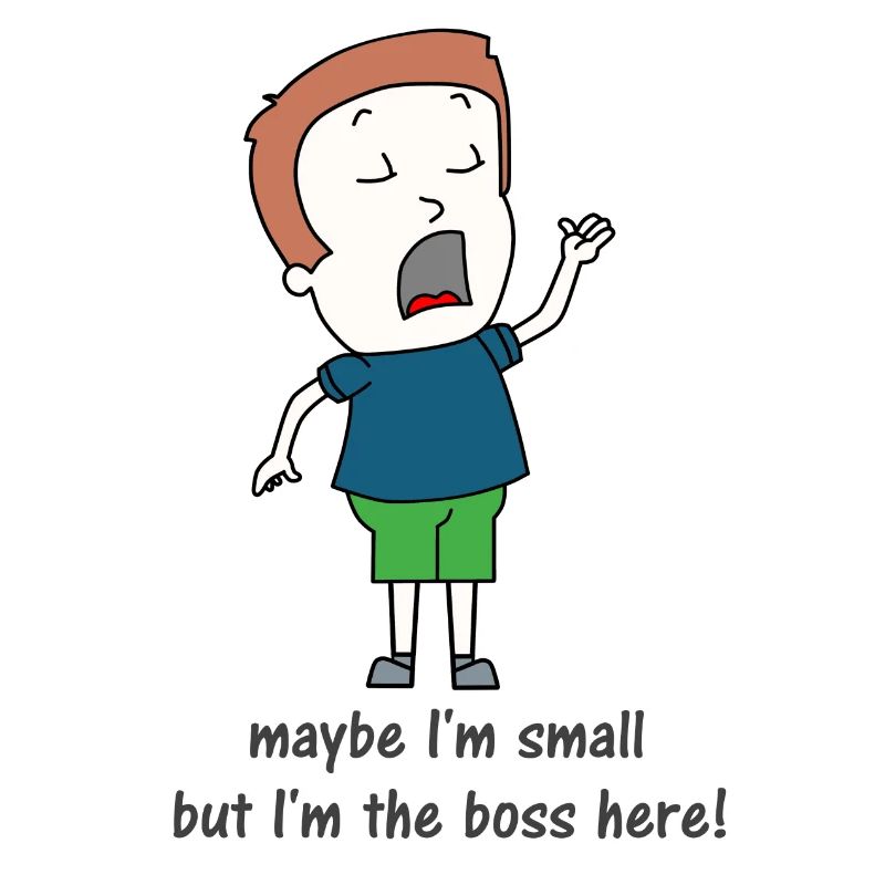 Small boss