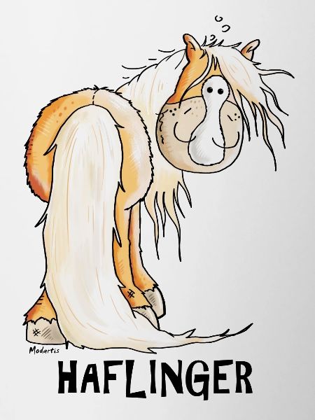 Drôle Haflinger Cheval