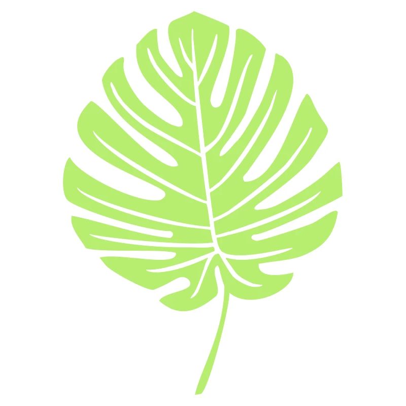 Feuille de Monstera Vert