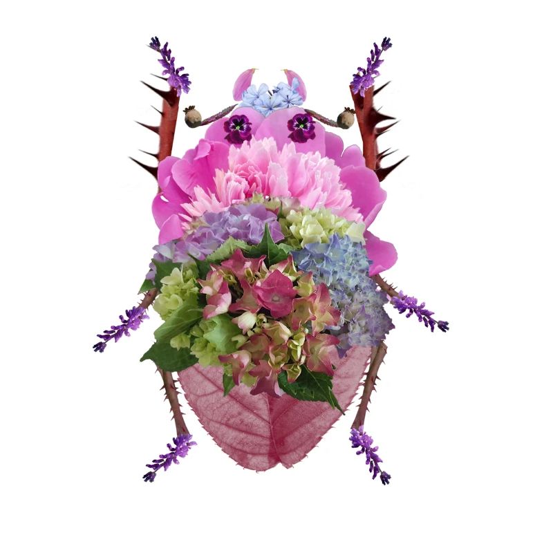 Bunter Blütenkäfer