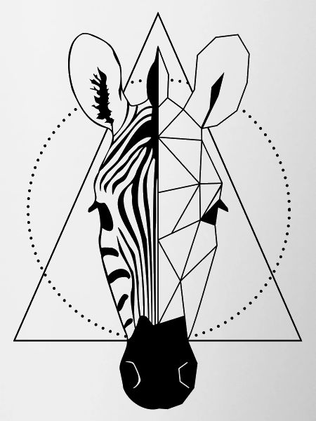 Zèbre