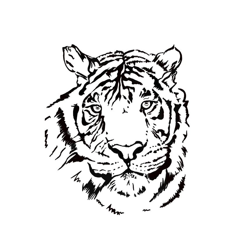 Tigre dessiné à la main