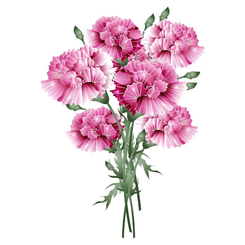 fascinant bouquet rose d’œillets