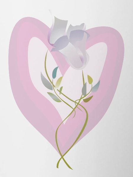 Gentle White Tulip Heart Illustration