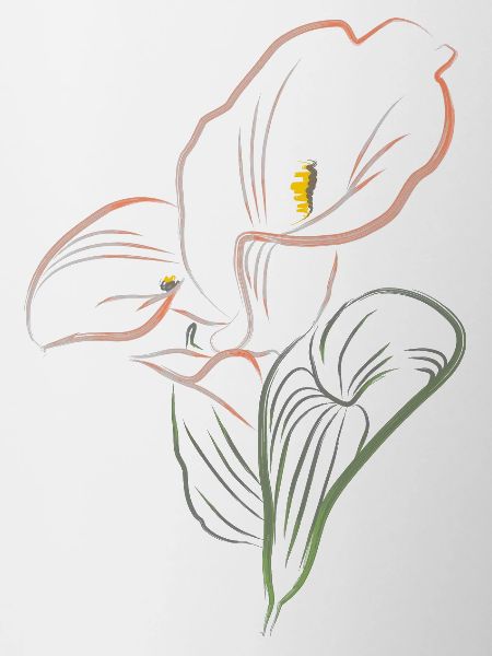 CALLA mix AutmnOrange2
