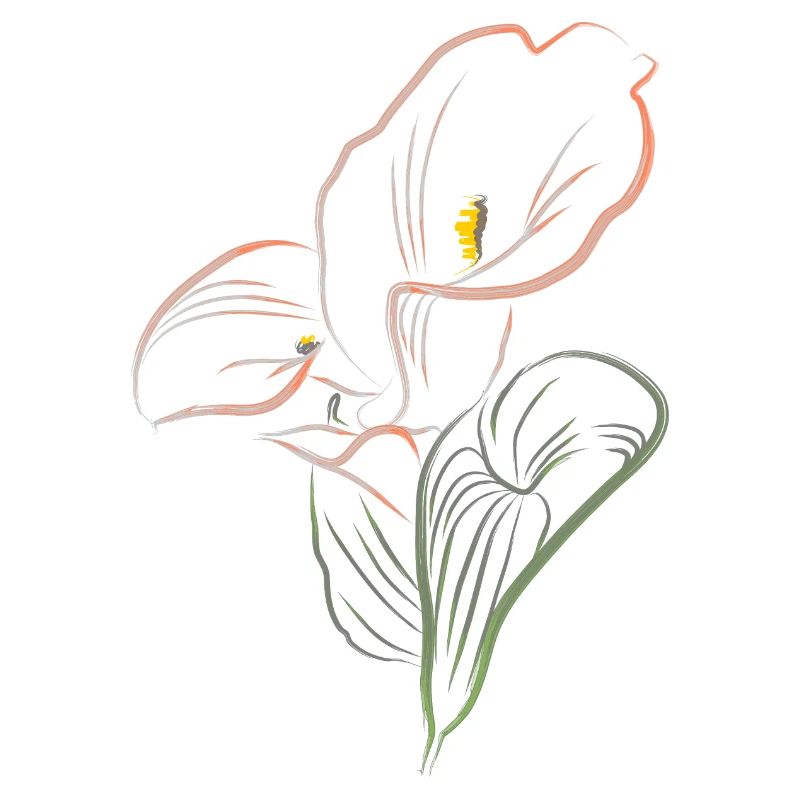CALLA mix AutmnOrange2