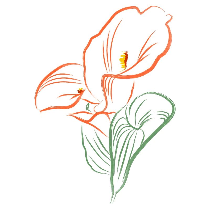 CALLA AutmnOrange