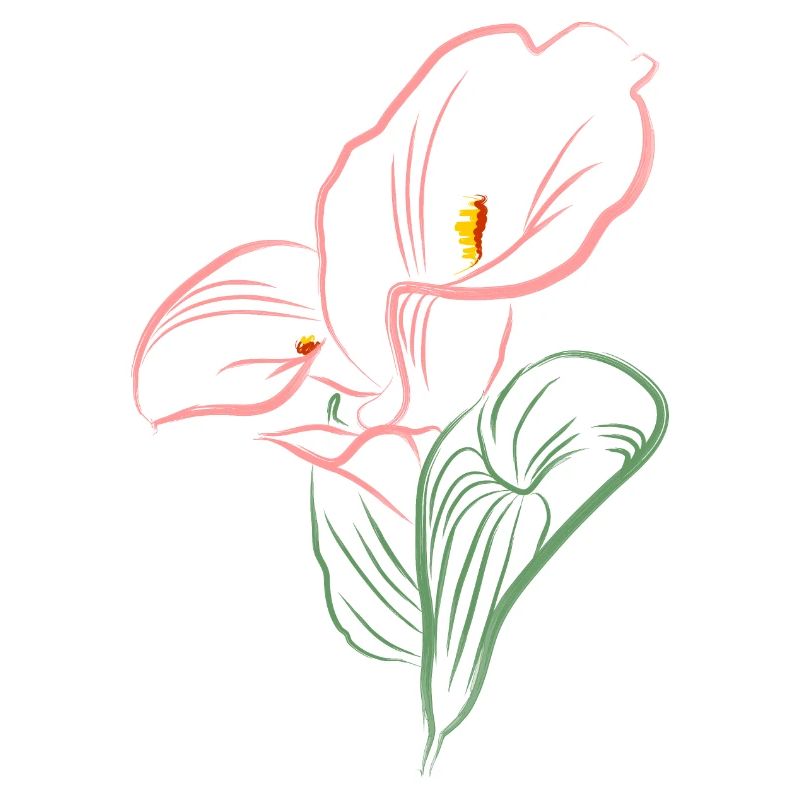 CALLA SoftPink