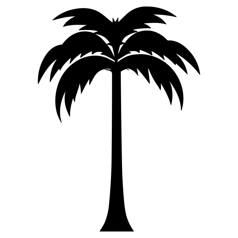 palm tree