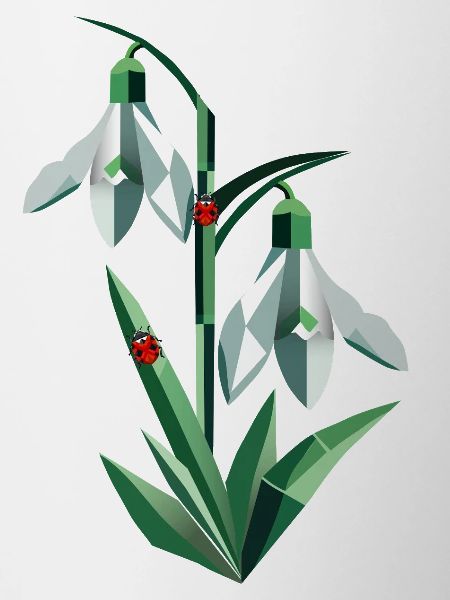 Two snowdrops with ladybugs