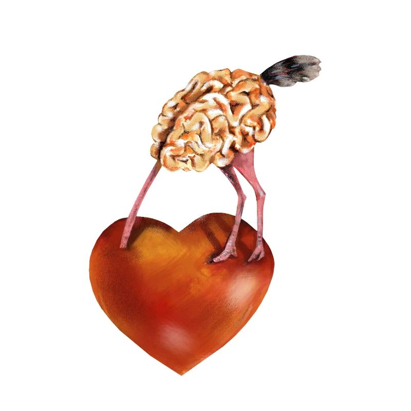 Brain and heart