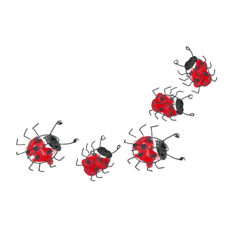 Marienkäfer Glück Ladybug