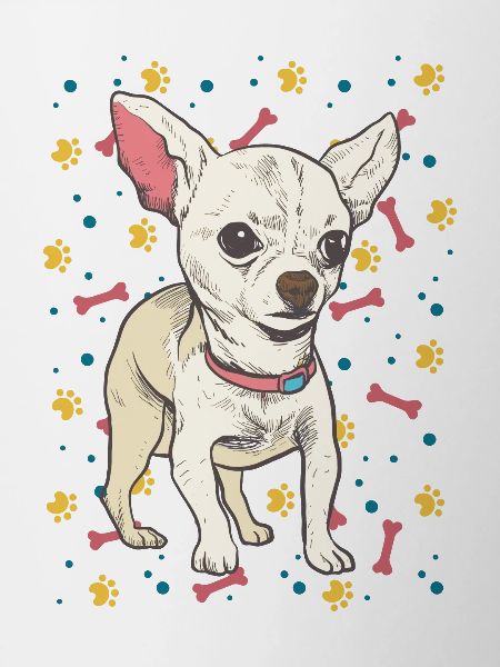 Chihuahua